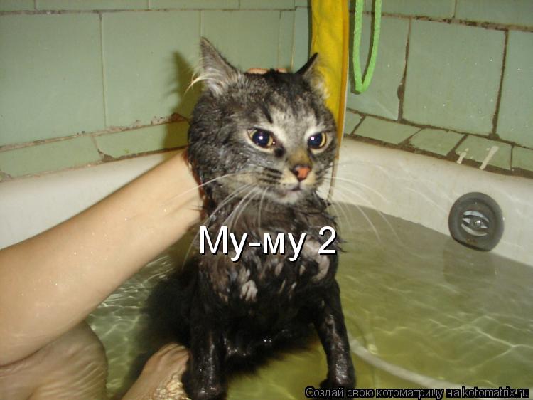 Му-му 2... Котоматрица: Му-му 2