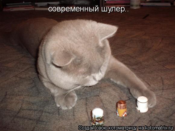 современный шулер..... Котоматрица: современный шулер..