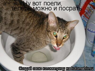 Ну вот поели, теперь можно и посрать... Котоматрица: Ну вот поели, теперь можно и посрать
