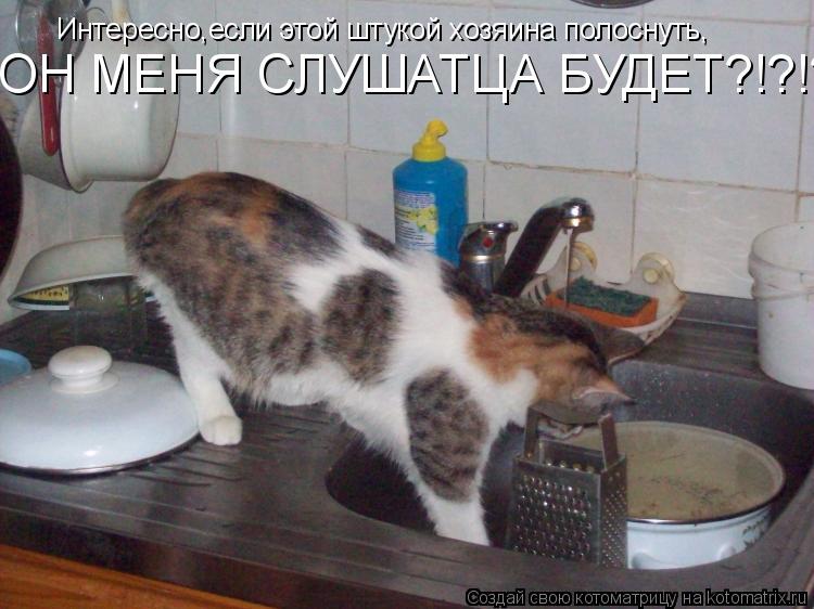 Интересно,если этой штукой хозяина полоснуть, ОН МЕНЯ СЛУШАТЦА БУДЕТ?!?!?... Котоматрица: Интересно,если этой штукой хозяина полоснуть, ОН МЕНЯ СЛУШАТЦА БУДЕТ?!?!?