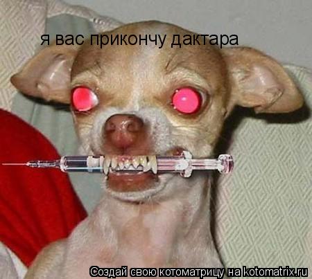 я вас прикончу дактара... Котоматрица: я вас прикончу дактара