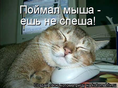 Поймал мыша - ешь не спеша!... Котоматрица: Поймал мыша - ешь не спеша!