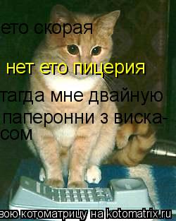 нет ето пицерия тагда мне двайную паперонни з виска- сом ето скорая... Котоматрица: нет ето пицерия тагда мне двайную паперонни з виска- сом ето скорая