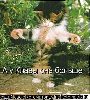 А у Клавы она больше... Котоматрица: А у Клавы она больше