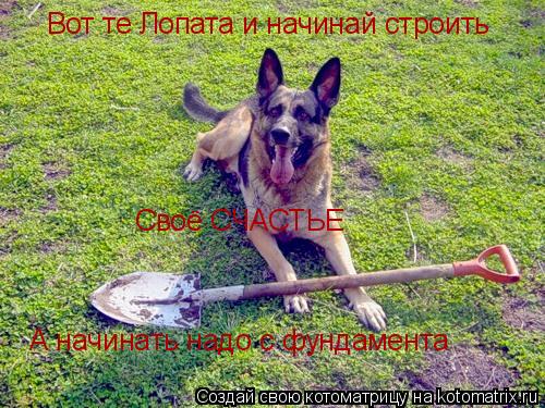Вот те Лопата и начинай строить Своё СЧАСТЬЕ А начинать надо с фундамента... Котоматрица: Вот те Лопата и начинай строить Своё СЧАСТЬЕ А начинать надо с фундамента