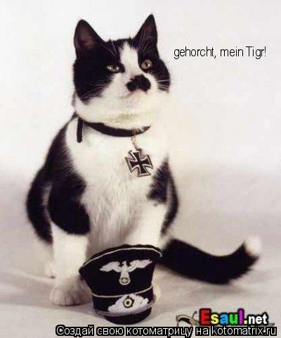 gehorcht, mein Tigr!... Котоматрица: gehorcht, mein Tigr!