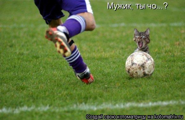 Мужик, ты чо...?... Котоматрица: Мужик, ты чо...?