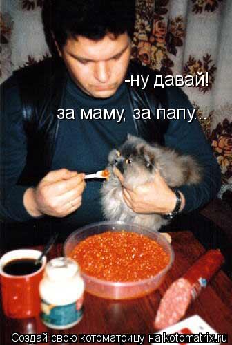 -ну давай! за маму, за папу...... Котоматрица: -ну давай! за маму, за папу...