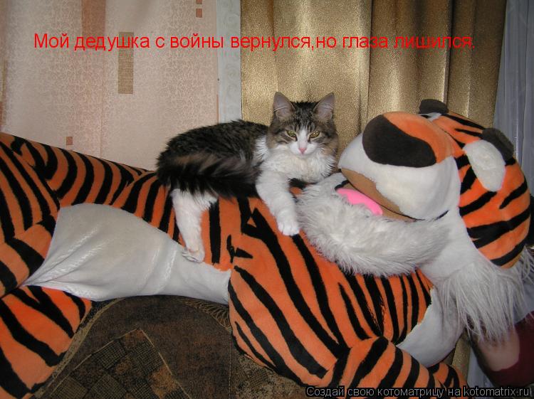 Мой дедушка с войны вернулся,но глаза лишился.... Котоматрица: Мой дедушка с войны вернулся,но глаза лишился.