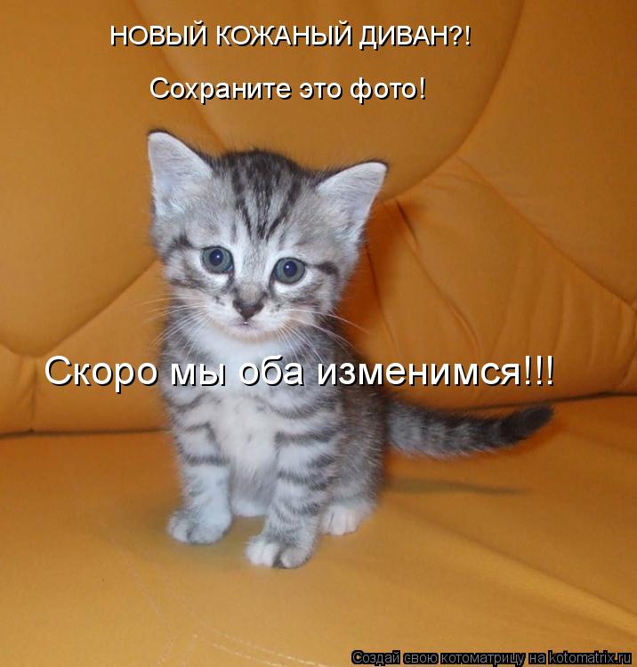 НОВЫЙ КОЖАНЫЙ ДИВАН?! Сохраните это фото! Скоро мы оба изменимся!!!... Котоматрица: НОВЫЙ КОЖАНЫЙ ДИВАН?! Сохраните это фото! Скоро мы оба изменимся!!!