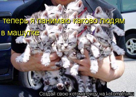 теперь я панимаю каково людям в машутке... Котоматрица: теперь я панимаю каково людям в машутке