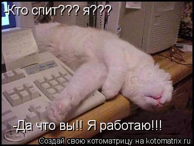 -Кто спит??? я??? -Да что вы!! Я работаю!!!... Котоматрица: -Кто спит??? я??? -Да что вы!! Я работаю!!!
