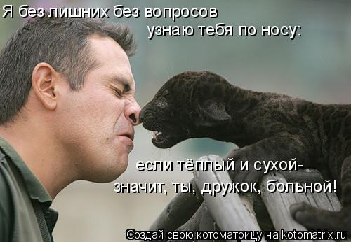Я без лишних без вопросов узнаю тебя по носу: если тёплый и сухой- значит, ты, дружок, больной!... Котоматрица: Я без лишних без вопросов узнаю тебя по носу: если тёплый и сухой- значит, ты, дружок, больной!