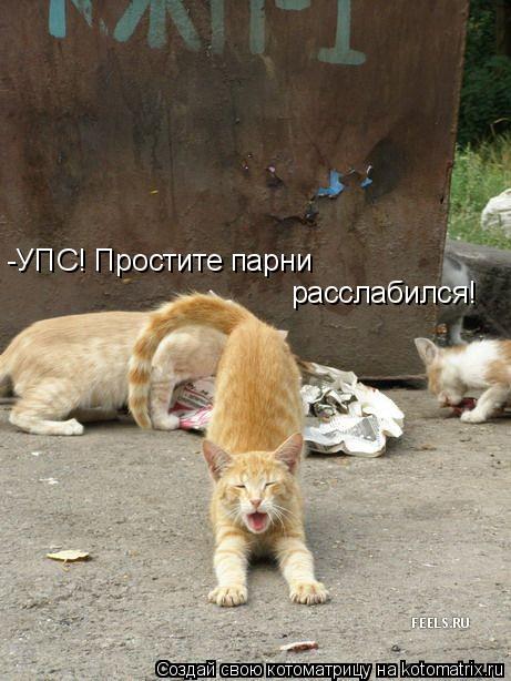 -УПС! Простите парни расслабился!... Котоматрица: -УПС! Простите парни расслабился!