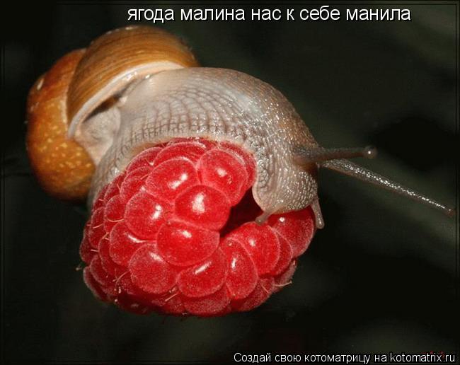 Посмеялся сам - поделись с другом!!!