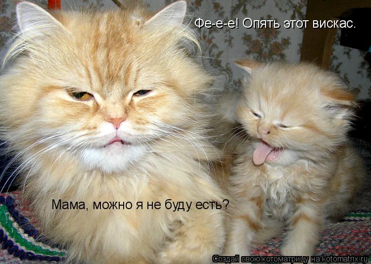 Фе-е-е! Опять этот вискас. Мама, можно я не буду есть?... Котоматрица: Фе-е-е! Опять этот вискас. Мама, можно я не буду есть?