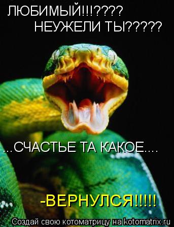 ЛЮБИМЫЙ!!!???? НЕУЖЕЛИ ТЫ????? ...СЧАСТЬЕ ТА КАКОЕ.... -ВЕРНУЛСЯ!!!!!... Котоматрица: ЛЮБИМЫЙ!!!???? НЕУЖЕЛИ ТЫ????? ...СЧАСТЬЕ ТА КАКОЕ.... -ВЕРНУЛСЯ!!!!!