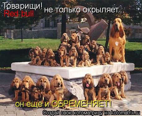 Товарищи! Red bull не только окрыляет... он ещё и ОБРЕМЕНЯЕТ!... Котоматрица: Товарищи! Red bull не только окрыляет... он ещё и ОБРЕМЕНЯЕТ!