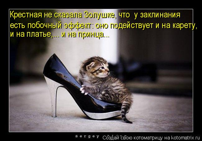 есть побочный эффект: оно подействует и на карету, и на платье,... и на принца... Крестная не сказала... Котоматрица: есть побочный эффект: оно подействует и на карету, и на платье,... и на принца... Крестная не сказала Золушке, что у заклинания