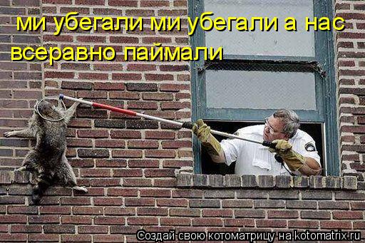 ми убегали ми убегали а нас всеравно паймали... Котоматрица: ми убегали ми убегали а нас всеравно паймали