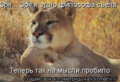 Зря... Зря я этого философа сьела Теперь так на мысли пробило... Котоматрица: Зря... Зря я этого философа сьела Теперь так на мысли пробило