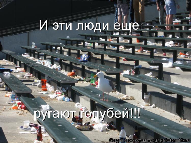 ругают голубей!!! И эти люди еще... Котоматрица: ругают голубей!!! И эти люди еще