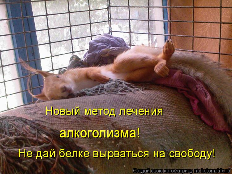 Не дай белке вырваться на свободу! Новый метод лечения алкоголизма!... Котоматрица: Не дай белке вырваться на свободу! Новый метод лечения алкоголизма!