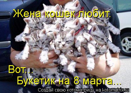Жена кошек любит. Вот... Букетик на 8 марта...... Котоматрица: Жена кошек любит. Вот... Букетик на 8 марта...
