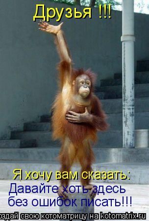 Котоматрица: Друзья !!! Я хочу вам сказать: Давайте хоть здесь без ошибок писать!!!