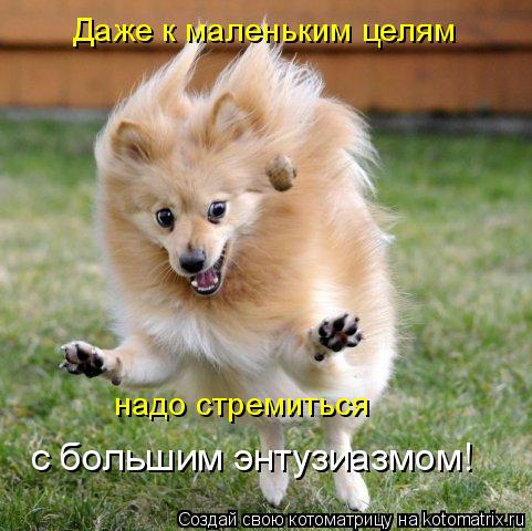 Даже к маленьким целям надо стремиться с большим энтузиазмом!... Котоматрица: Даже к маленьким целям надо стремиться с большим энтузиазмом!