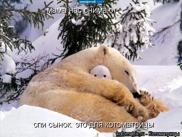 мама нас снимают спи сынок. это для котоматрицы... Котоматрица: мама нас снимают спи сынок. это для котоматрицы
