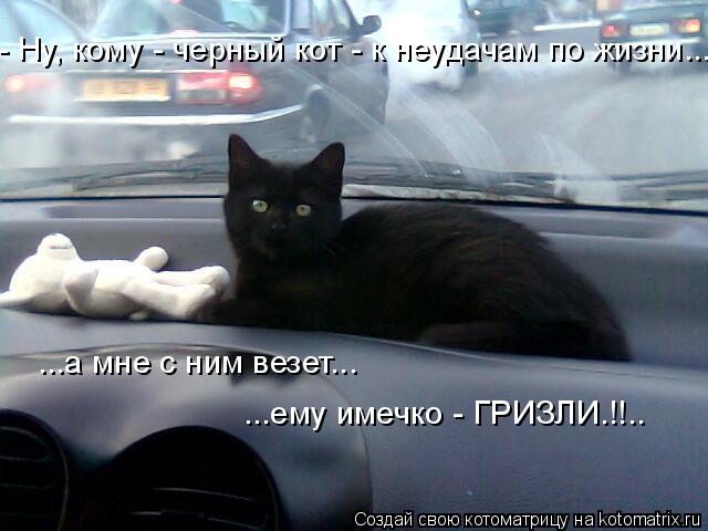 - Ну, кому - черный кот - к неудачам по жизни... ...а мне с ним везет... ...ему имечко - ГРИЗЛИ.!!..... Котоматрица: - Ну, кому - черный кот - к неудачам по жизни... ...а мне с ним везет... ...ему имечко - ГРИЗЛИ.!!..