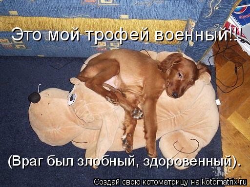 (Враг был злобный, здоровенный). Это мой трофей военный!!!... Котоматрица: (Враг был злобный, здоровенный). Это мой трофей военный!!!