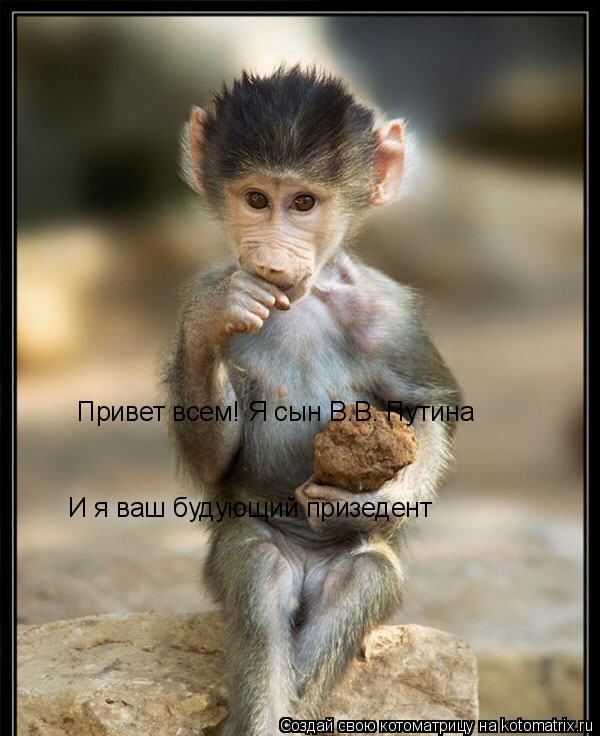 Привет всем! Я сын В.В. Путина И я ваш будующий призедент... Котоматрица: Привет всем! Я сын В.В. Путина И я ваш будующий призедент
