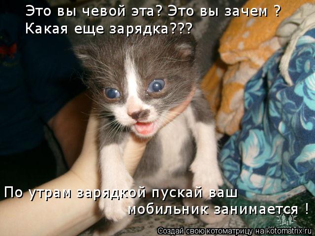 мобильник занимается ! По утрам зарядкой пускай ваш Это вы чевой эта? Это вы зачем ? Какая еще зарядк... Котоматрица: мобильник занимается ! По утрам зарядкой пускай ваш Это вы чевой эта? Это вы зачем ? Какая еще зарядка???
