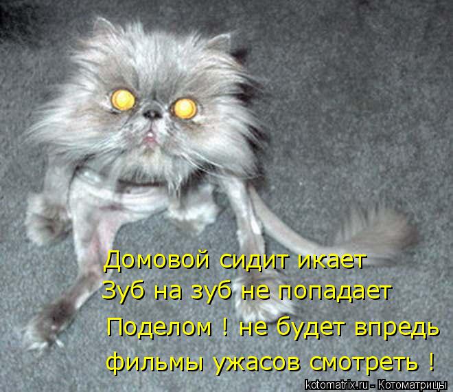 фильмы ужасов смотреть ! Поделом ! не будет впредь Домовой сидит икает Зуб на зуб не попадает... Котоматрица: фильмы ужасов смотреть ! Поделом ! не будет впредь Домовой сидит икает Зуб на зуб не попадает