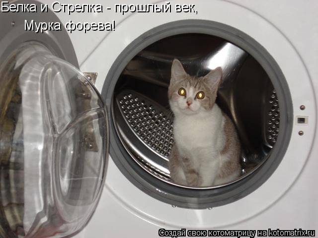 Белка и Стрелка - прошлый век, Мурка форева!... Котоматрица: Белка и Стрелка - прошлый век, Мурка форева!