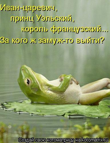 принц Уэльский, король французский... За кого ж замуж-то выйти? Иван-царевич,... Котоматрица: принц Уэльский, король французский... За кого ж замуж-то выйти? Иван-царевич,