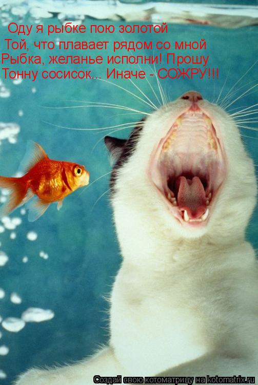 Котоматрица: Оду я рыбке пою золотой Той, что плавает рядом со мной Рыбка, желанье исполни! Прошу Тонну сосисок... Иначе - СОЖРУ!!!