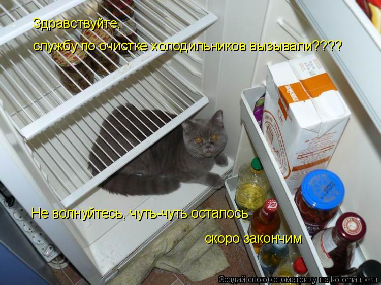 Здравствуйте, службу по очистке холодильников вызывали???? Не волнуйтесь, чуть-чуть осталось скоро з... Котоматрица: Здравствуйте, службу по очистке холодильников вызывали???? Не волнуйтесь, чуть-чуть осталось скоро закончим