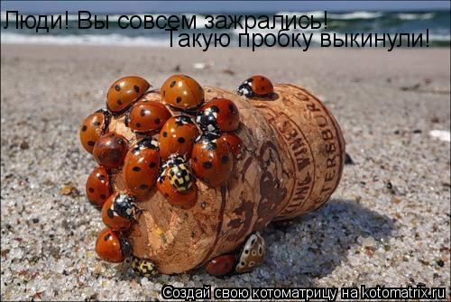 Люди! Вы совсем зажрались! Такую пробку выкинули!... Котоматрица: Люди! Вы совсем зажрались! Такую пробку выкинули!