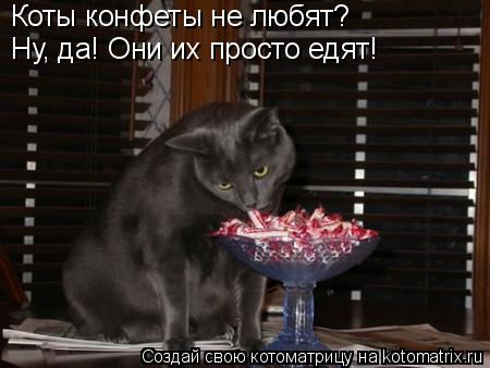 Коты конфеты не любят? Ну, да! Они их просто едят!... Котоматрица: Коты конфеты не любят? Ну, да! Они их просто едят!