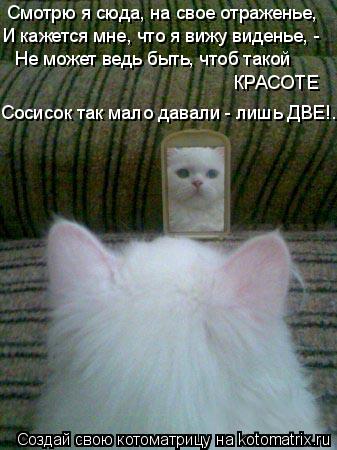 Смотрю я сюда, на свое отраженье, И кажется мне, что я вижу виденье, - КРАСОТЕ Не может ведь быть, ч... Котоматрица: Смотрю я сюда, на свое отраженье, И кажется мне, что я вижу виденье, - КРАСОТЕ Не может ведь быть, чтоб такой Сосисок так мало давали - лишь ДВЕ