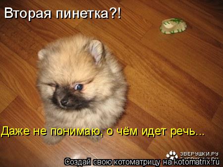 Вторая пинетка?! Даже не понимаю, о чём идет речь...... Котоматрица: Вторая пинетка?! Даже не понимаю, о чём идет речь...
