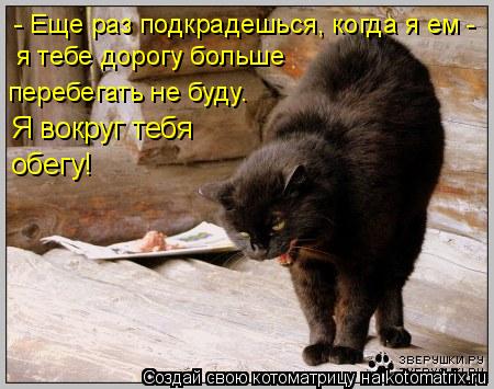 - Еще раз подкрадешься, когда я ем - я тебе дорогу больше перебегать не буду. Я вокруг тебя обегу!... Котоматрица: - Еще раз подкрадешься, когда я ем - я тебе дорогу больше перебегать не буду. Я вокруг тебя обегу!
