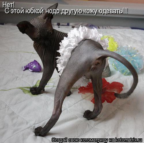 Нет! С этой юбкой нодо другую кожу одевать!!!... Котоматрица: Нет! С этой юбкой нодо другую кожу одевать!!!