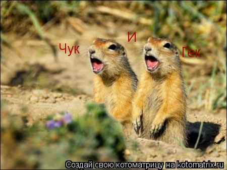 Чук И Гек... Котоматрица: Чук И Гек