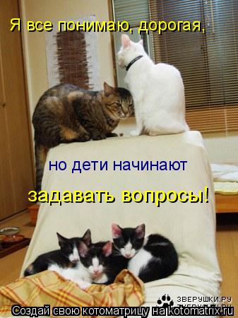 Я все понимаю, дорогая, но дети начинают задавать вопросы!... Котоматрица: Я все понимаю, дорогая, но дети начинают задавать вопросы!