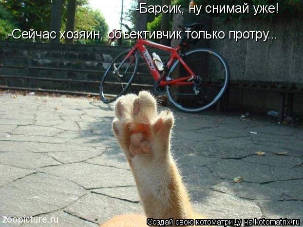 Котоматрица: -Барсик, ну снимай уже! -Сейчас хозяин, объективчик только протру...