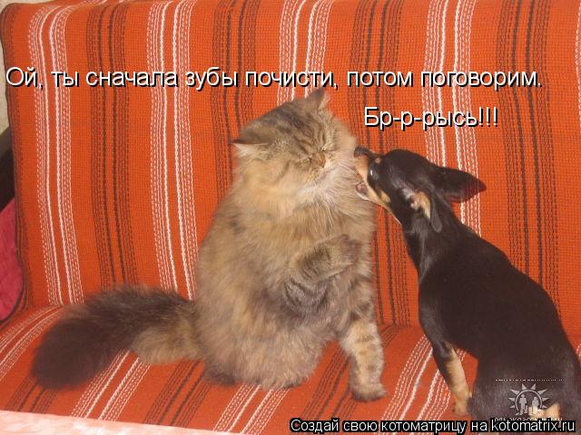 Бр-р-рысь!!! Ой, ты сначала зубы почисти, потом поговорим.... Котоматрица: Бр-р-рысь!!! Ой, ты сначала зубы почисти, потом поговорим.